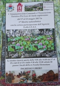 MOSTRA ITINERANTE AD ANELA – “I TESORI NATURALI DI UN’ISOLA”